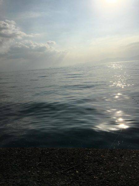 久々のアオリキャッチと痛恨のミス！